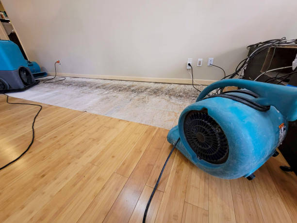 Professional Water Damage Repair technician working in Errol, NH